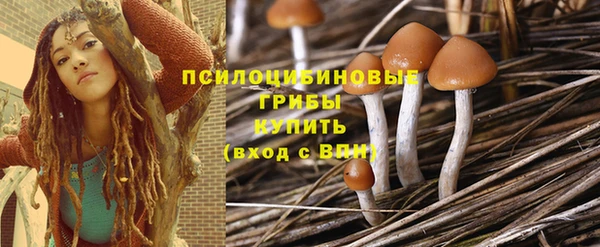 а пвп мука Гусев