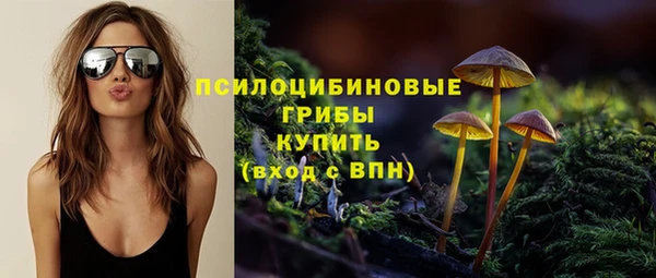 а пвп мука Елизово
